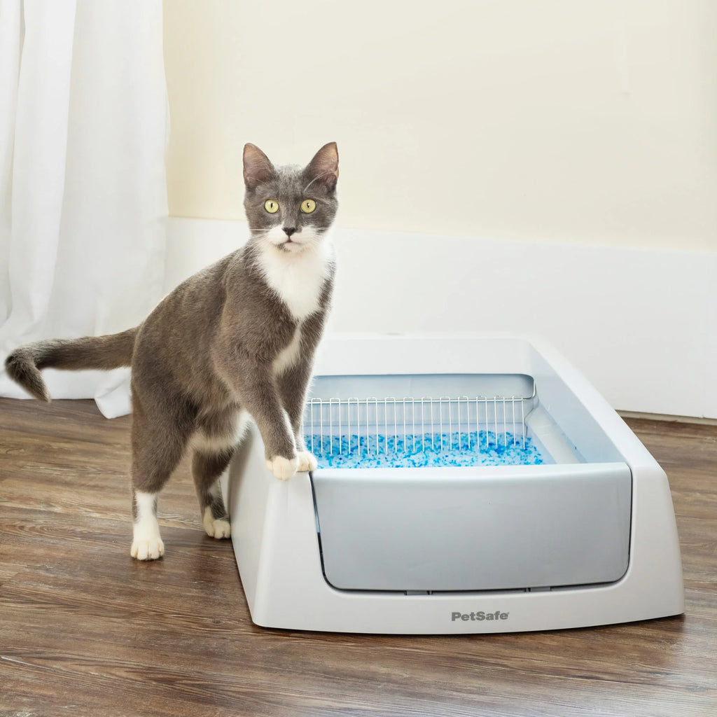 Self-Cleaning Cat Litter Box Y639303