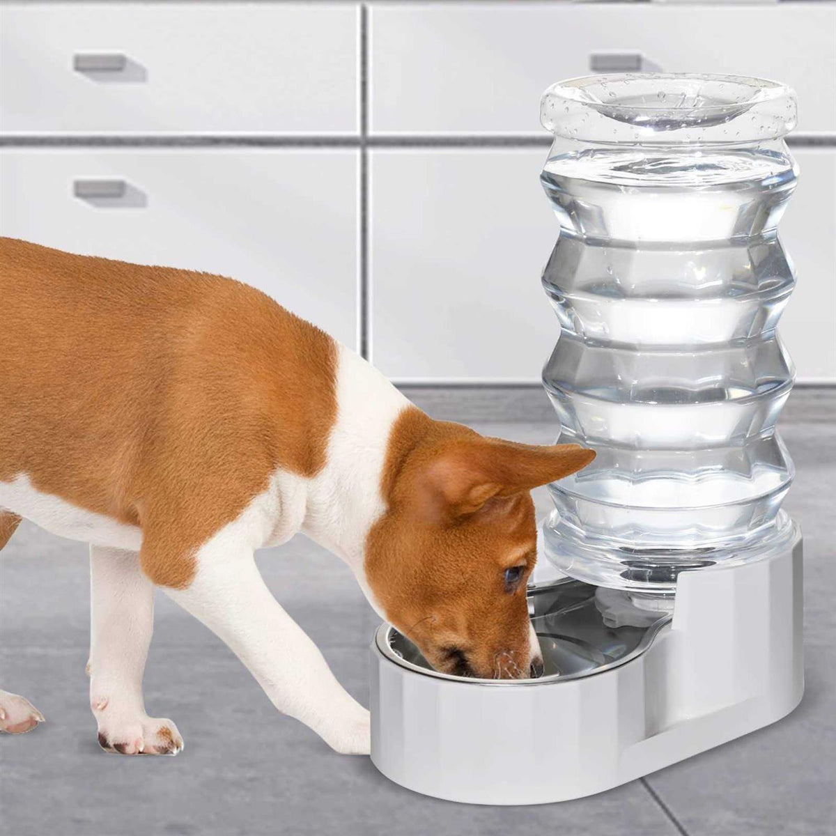 Automatic BPA-free Stainless Steel Pet Waterer C605069