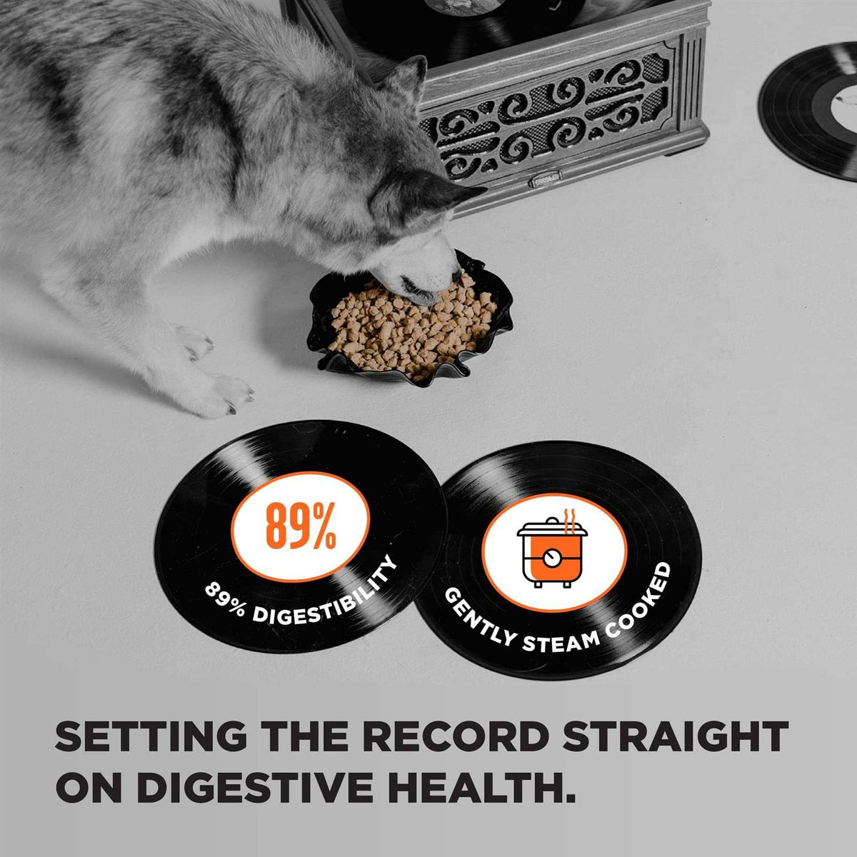 Grain Free Dry Dog Food Chicken V48301
