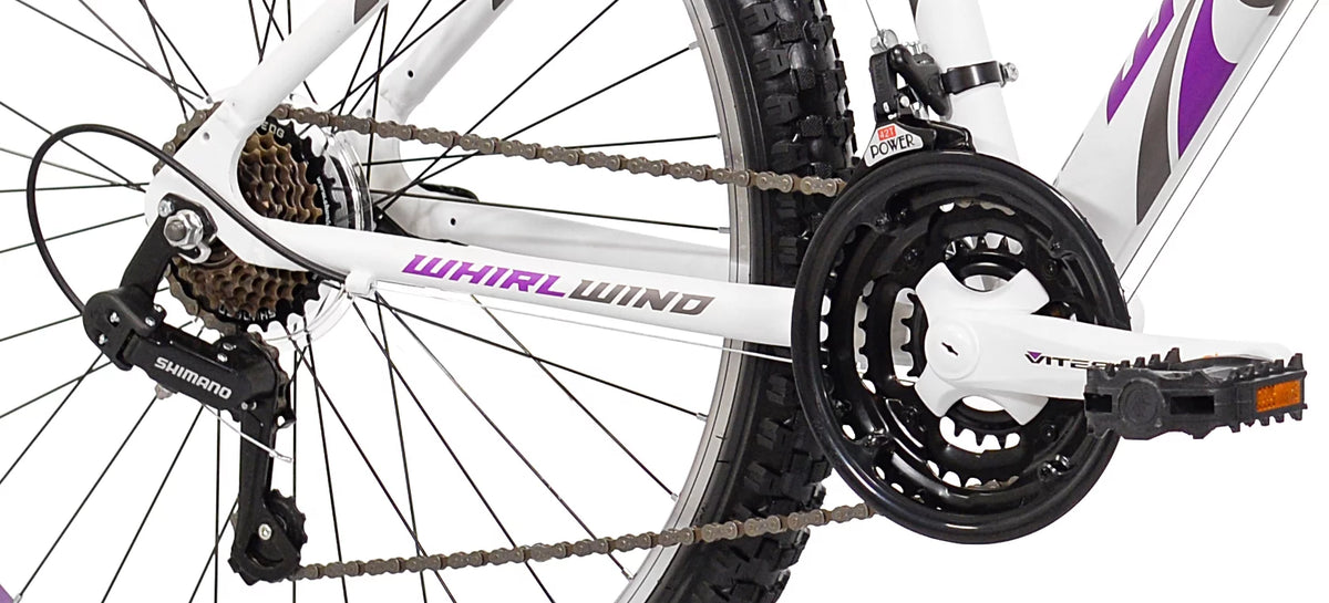 Gray Women's Mountain Bike A1911
