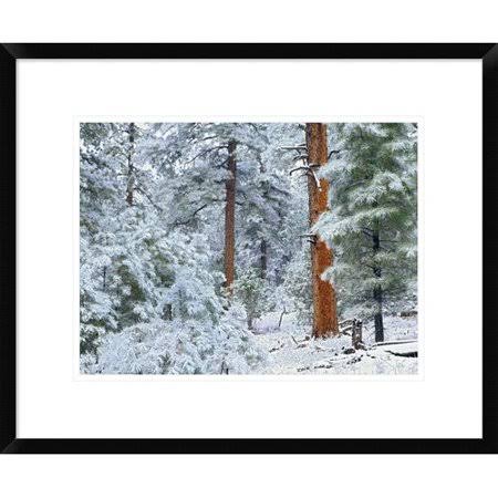Framed Photographic Print Y5702