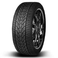 P295/25R28 103W All-Season Tire R313