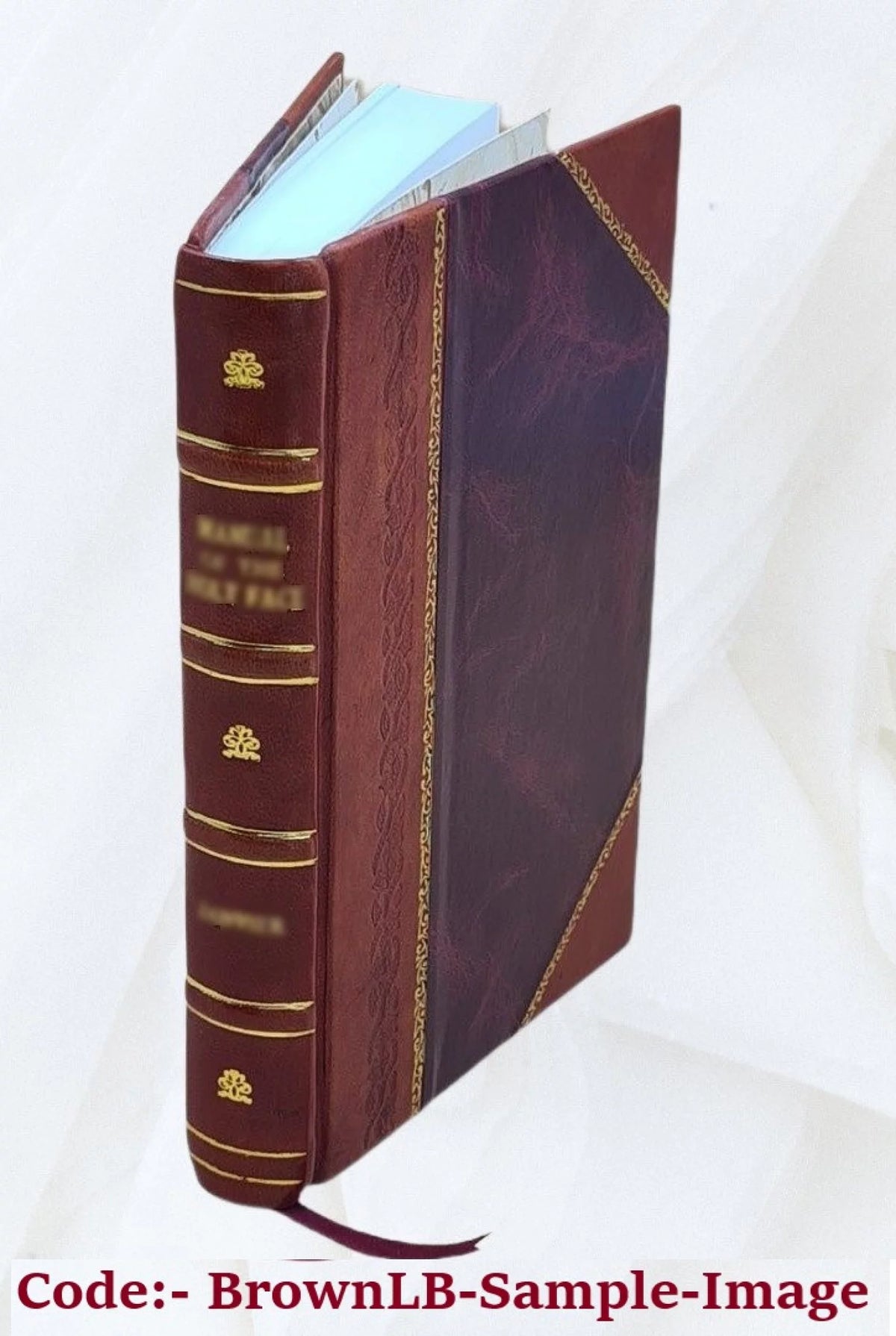 1845 Leather Bound R5411