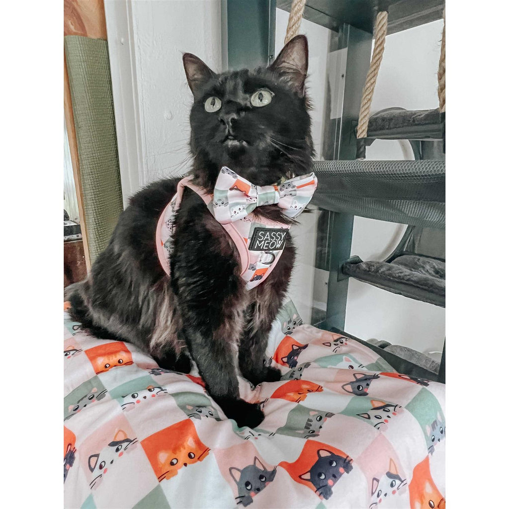 Cat Step-In Harness E9890
