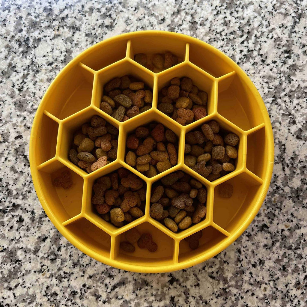 Honeycomb Design Slow Feeder Bowl for Dogs N283625