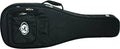 Acoustic Guitar Case L5256