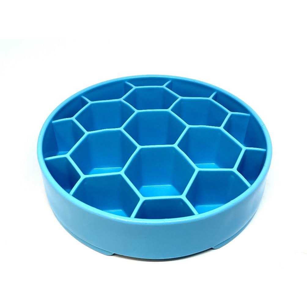 Honeycomb Design Slow Feeder Bowl for Dogs N283625