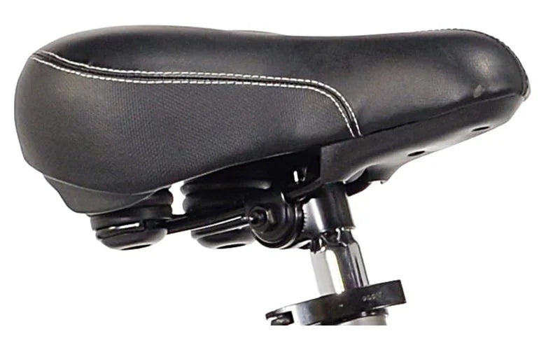 Gray Women's Mountain Bike A1911