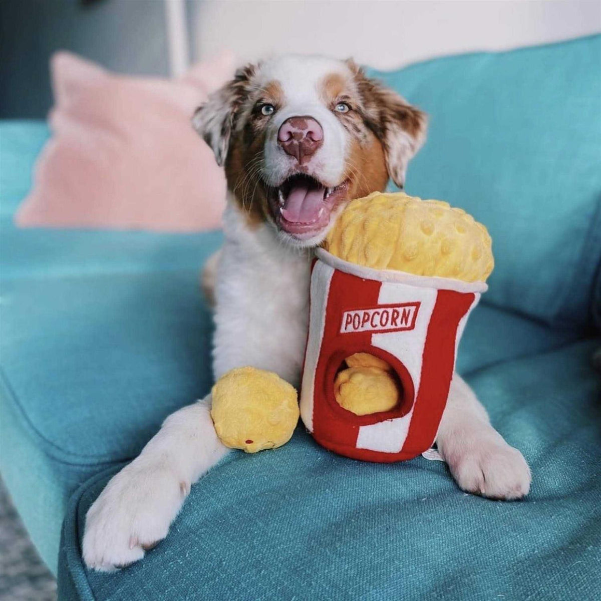 Popcorn Bucket Dog Toy H8373