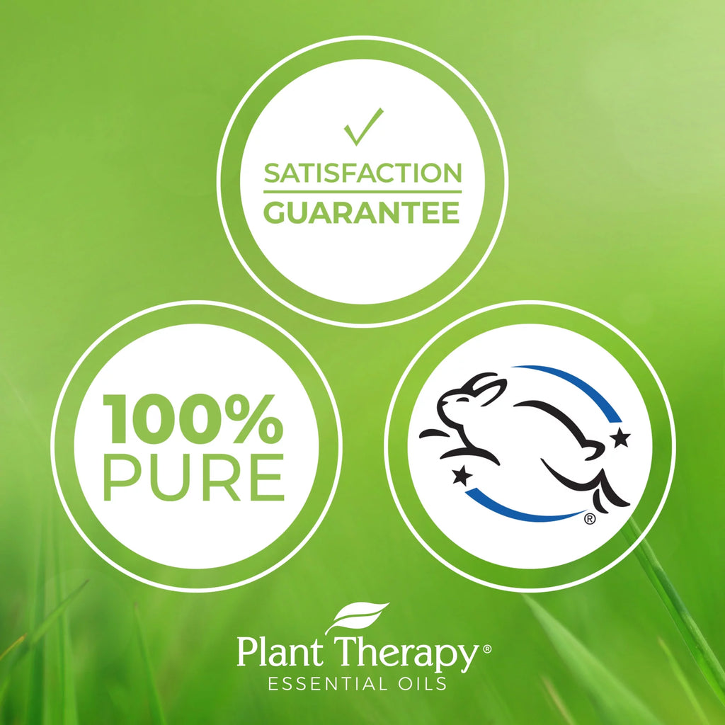 Relaxation Synergy Set 100% Pure Undiluted Therapeutic Grade Z18322