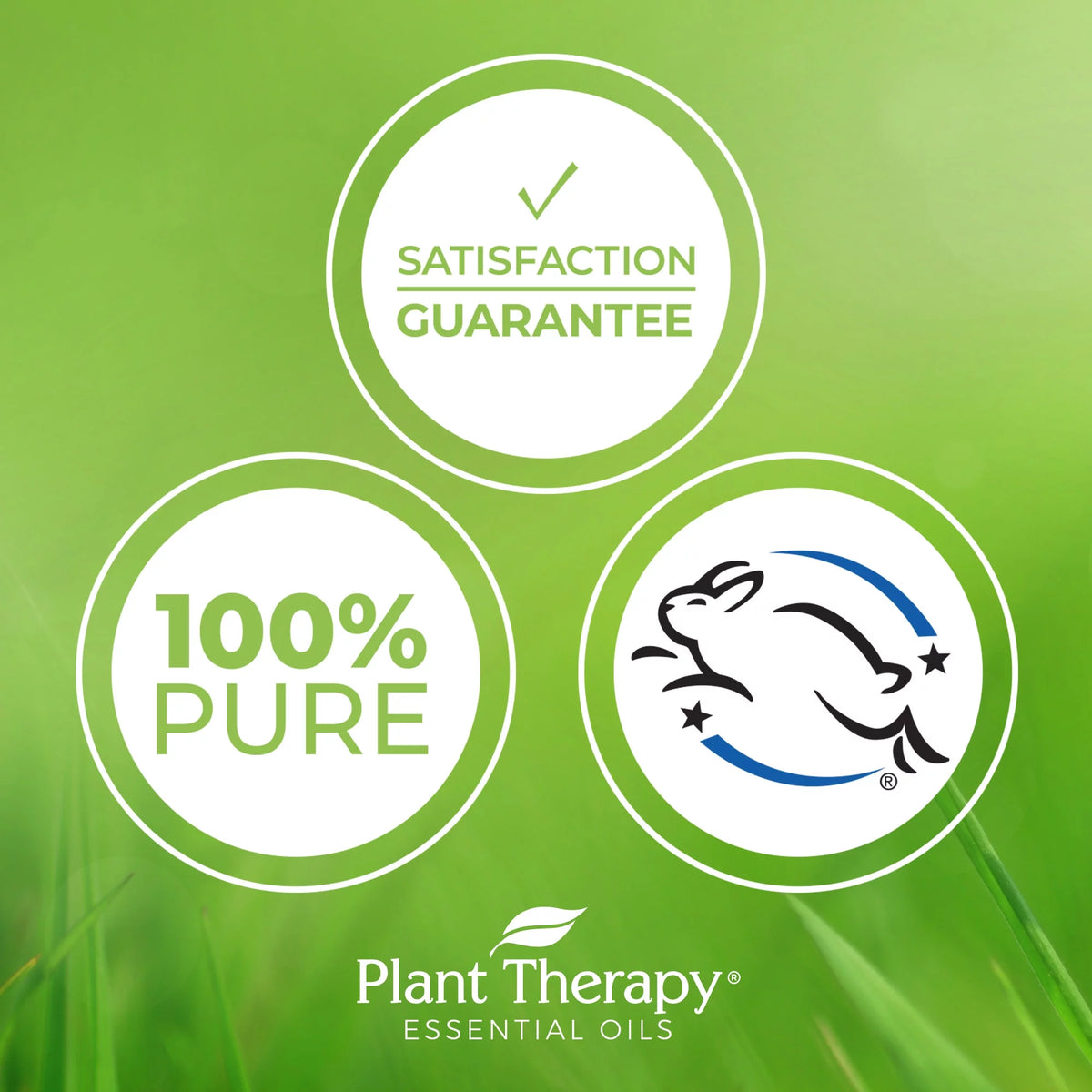 Relaxation Synergy Set 100% Pure Undiluted Therapeutic Grade Z18322