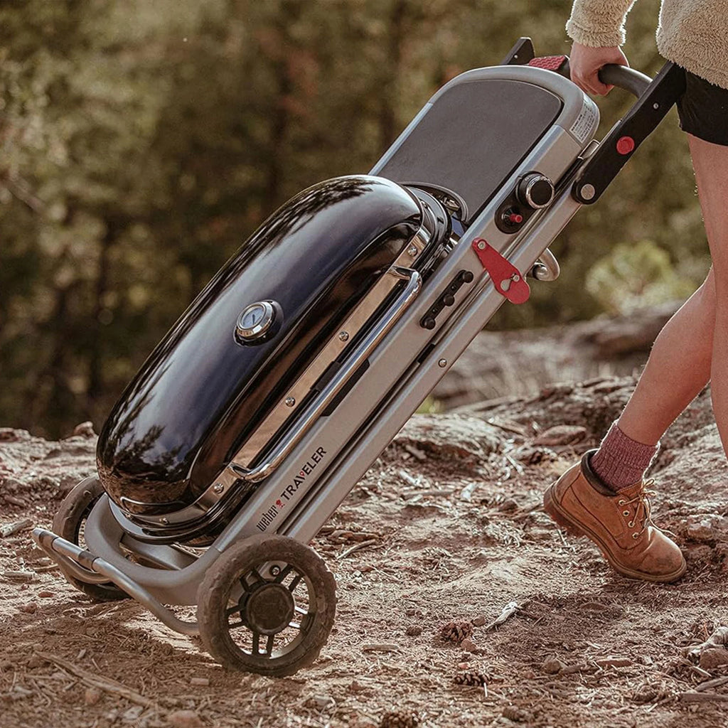 Portable Propane Gas Grill V839868
