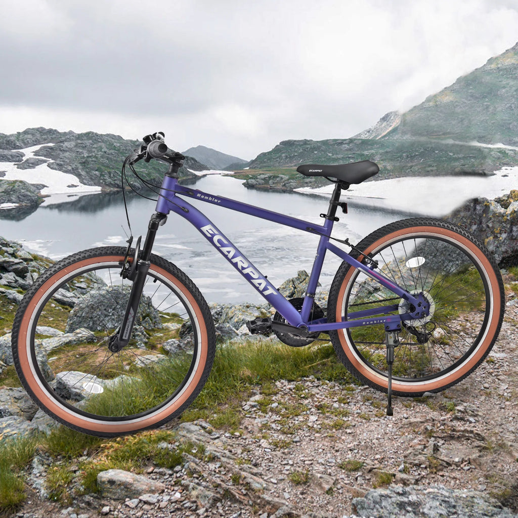 26 inch 21-Speed Mountain Bike O652