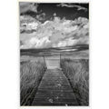 Photographic Print Framed Canvas C348872