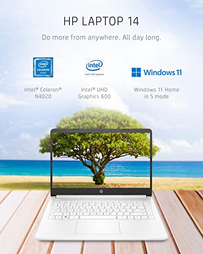 14-inch Laptop, Intel Celeron N4020, 4 GB RAM, 64 GB Storage, Windows 11 Home F745