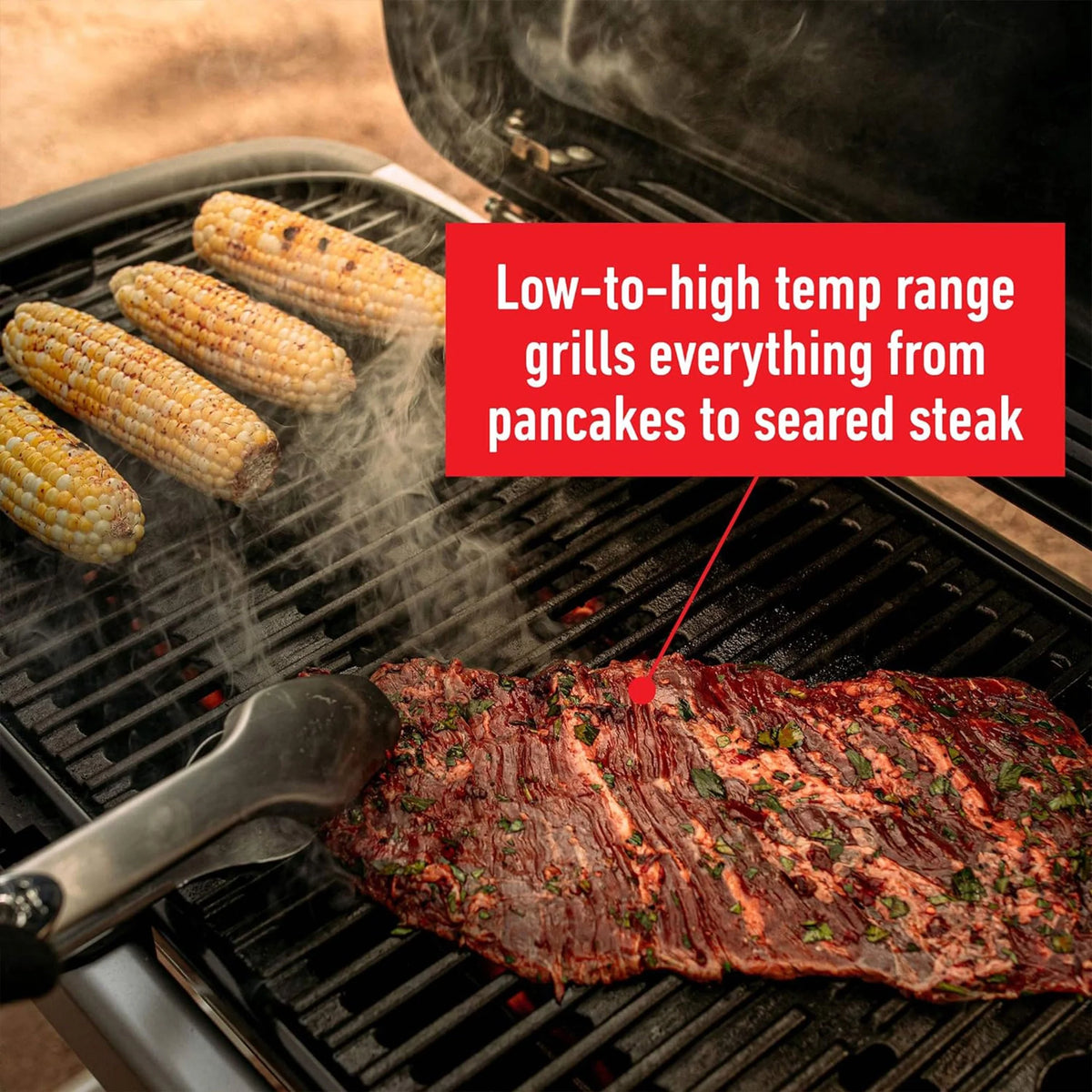 Portable Propane Gas Grill V839868