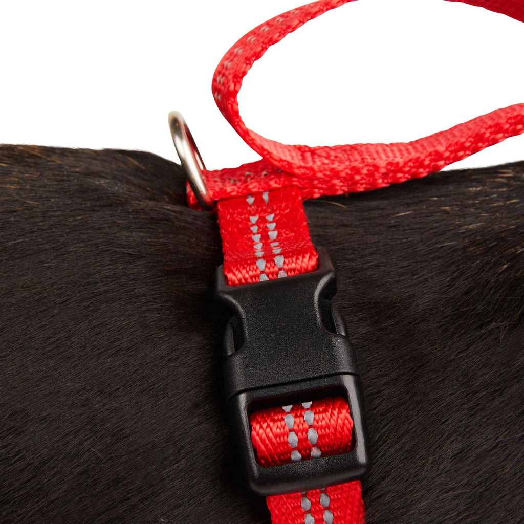Reflective Dog Harness P34527