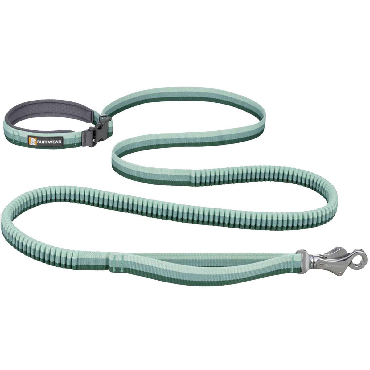 Leash P26292