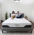 10 Inch Queen Size Cooling Gel Memory Foam Mattress Q254