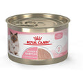 Canned Cat Food Y844