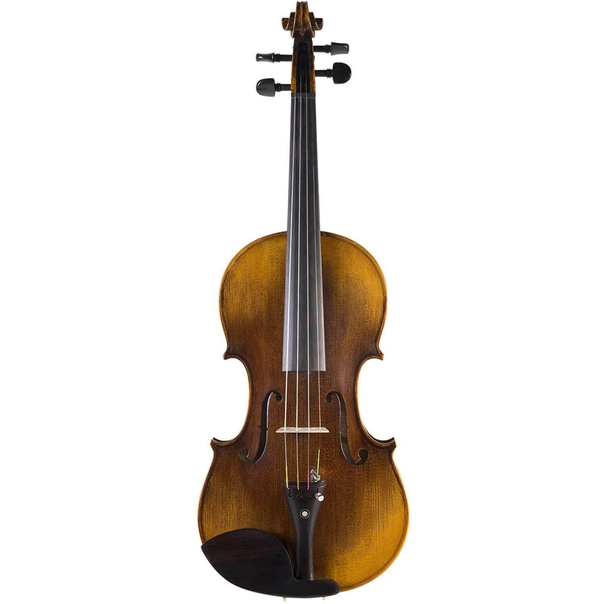 Solidwood Violin with D'Addario Prelude Strings Size 4/4 S64115