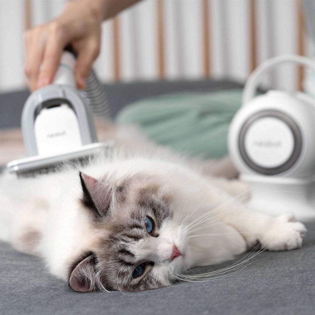 Pet Grooming Kit & Vacuum U338817