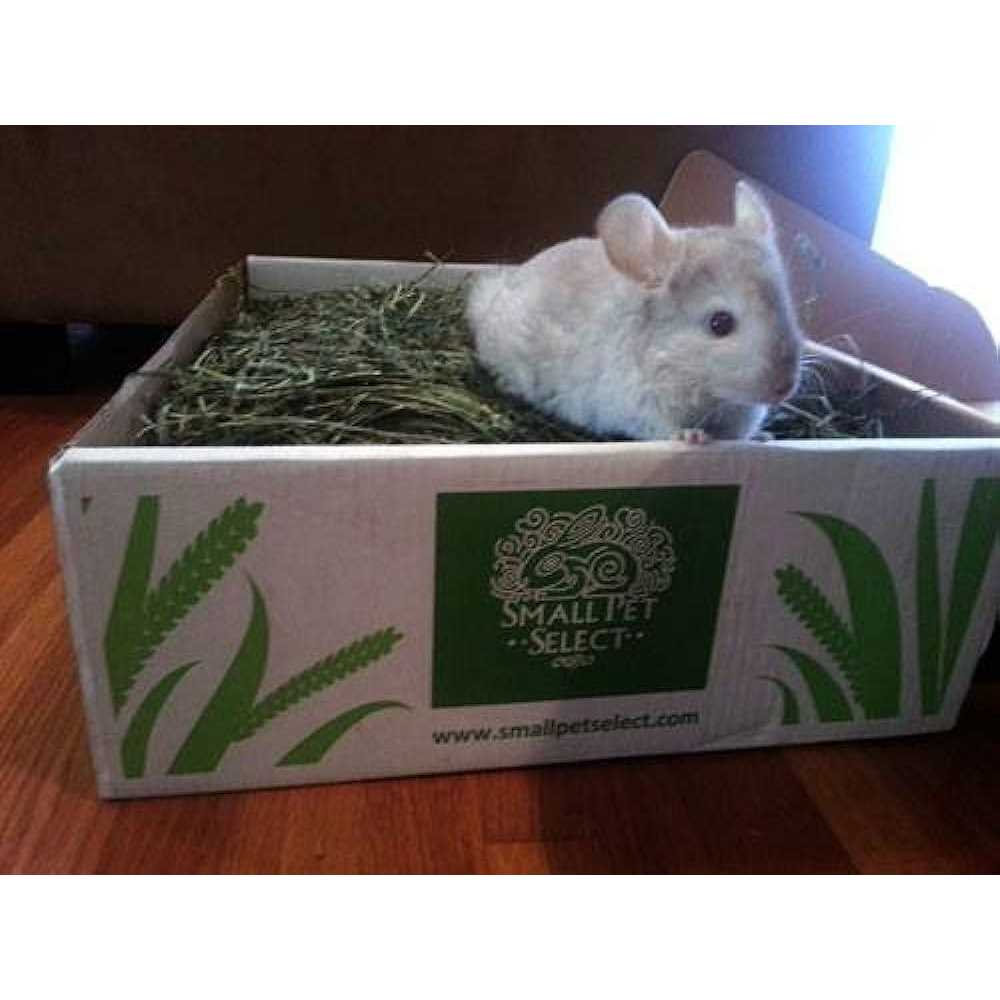 Timothy Hay Pet Food I785035