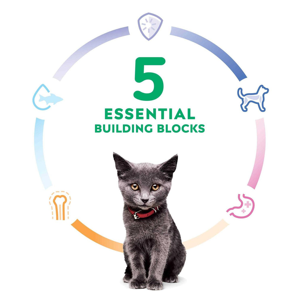 Indoor Kitten Dry Cat Food C469