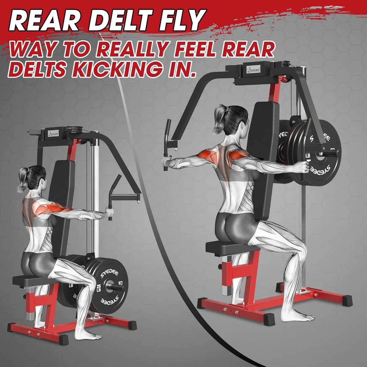 Chest Fly and Reverse Delt Machine 400 lbs B14090