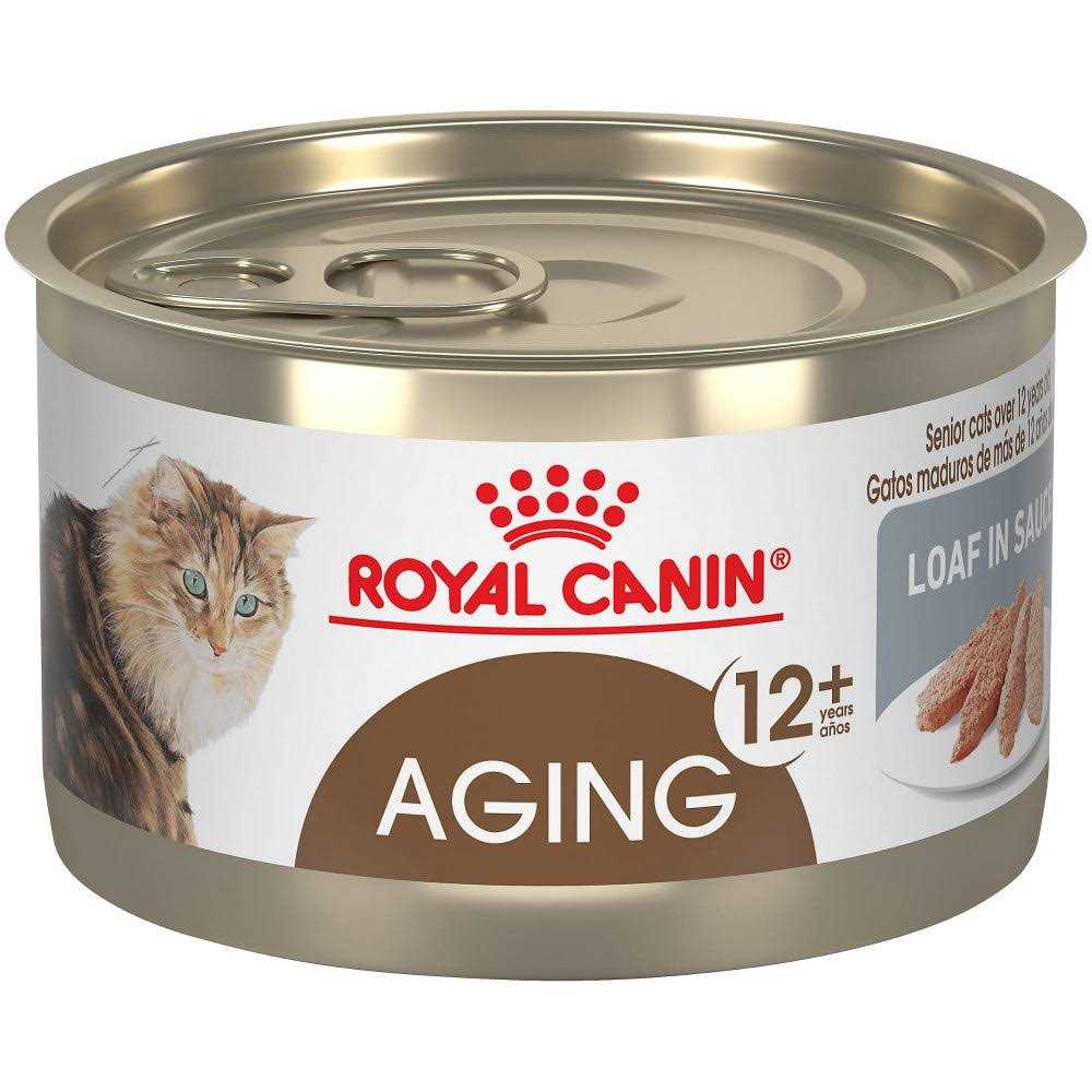 Canned Cat Food Y844