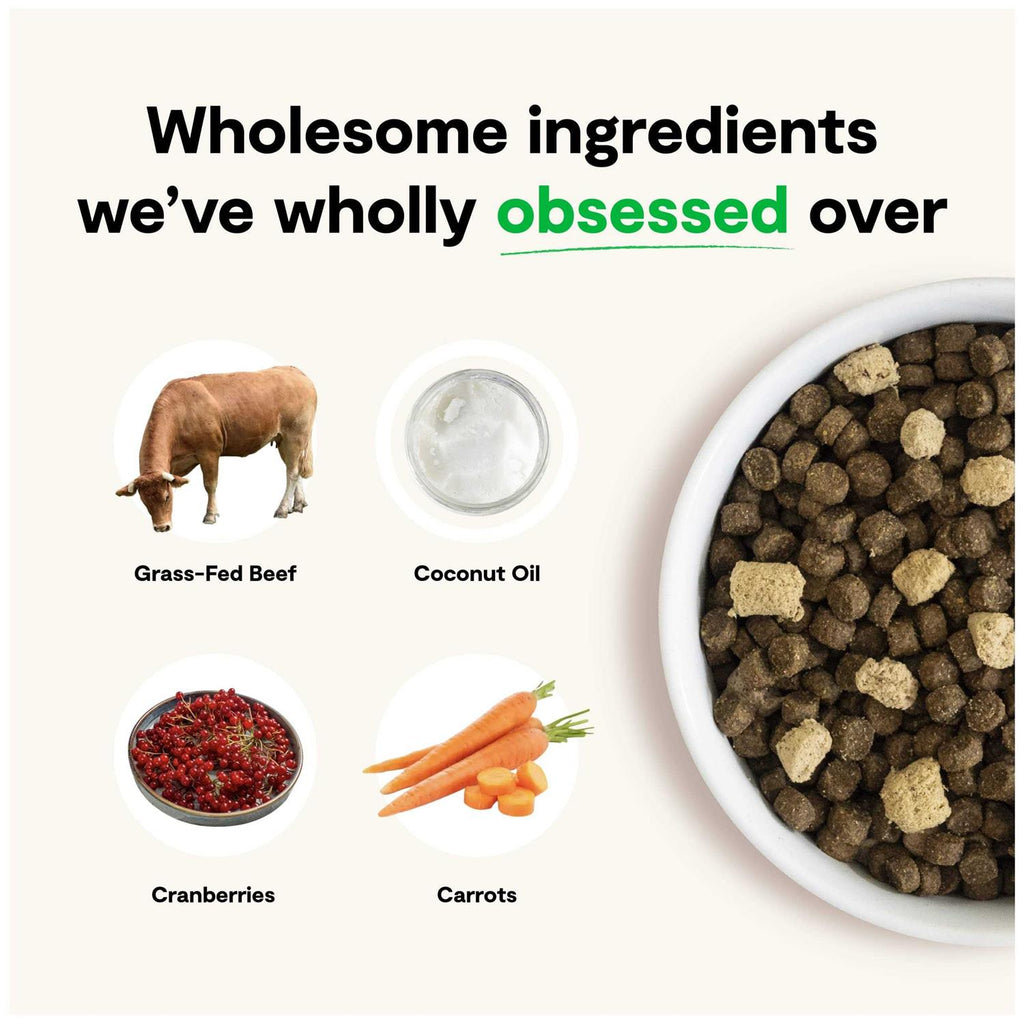 Grain Free Dog Food O8649