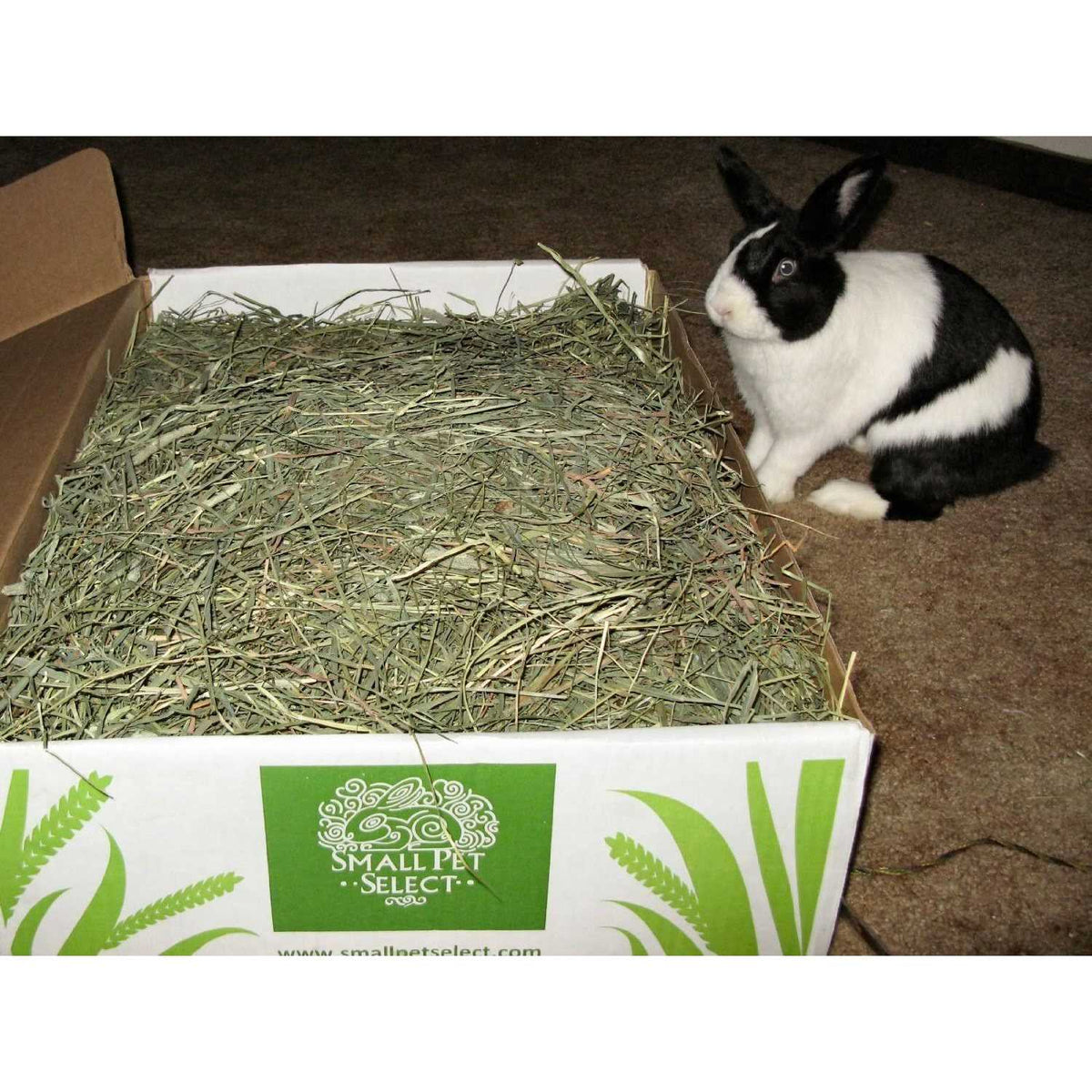 Timothy Hay Pet Food I785035