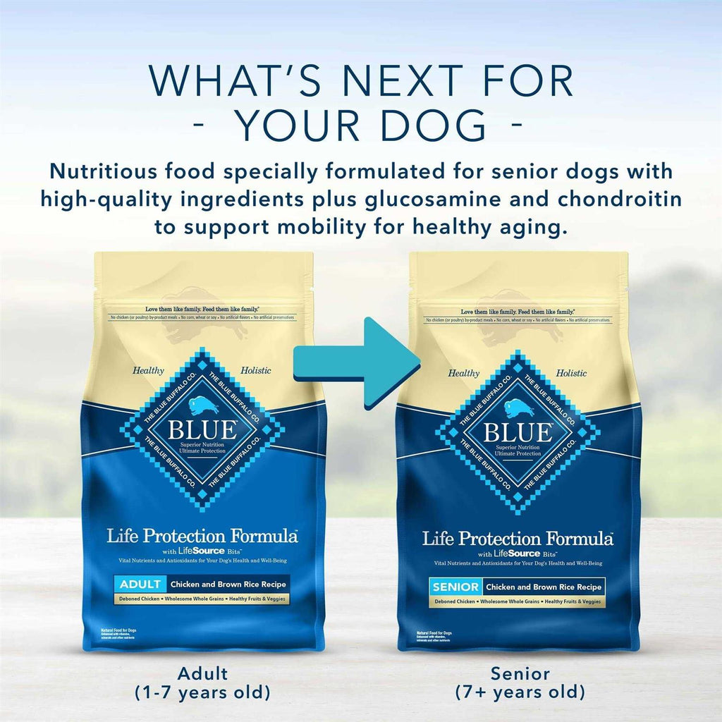 Adult Dry Dog Food Chicken and Brown Rice J505055