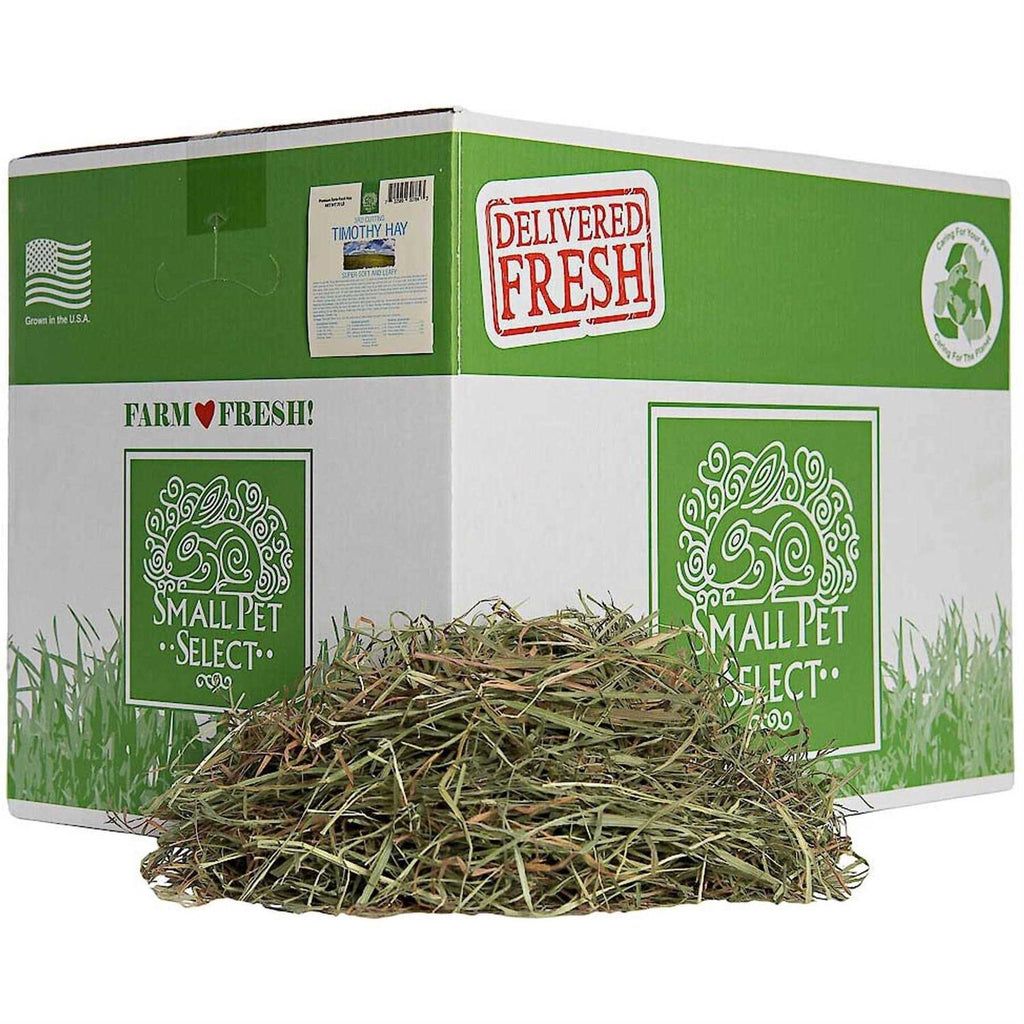 Timothy Hay Pet Food I785035