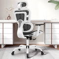 Black Ergonomic Office Chair with Lumbar Support S153361
