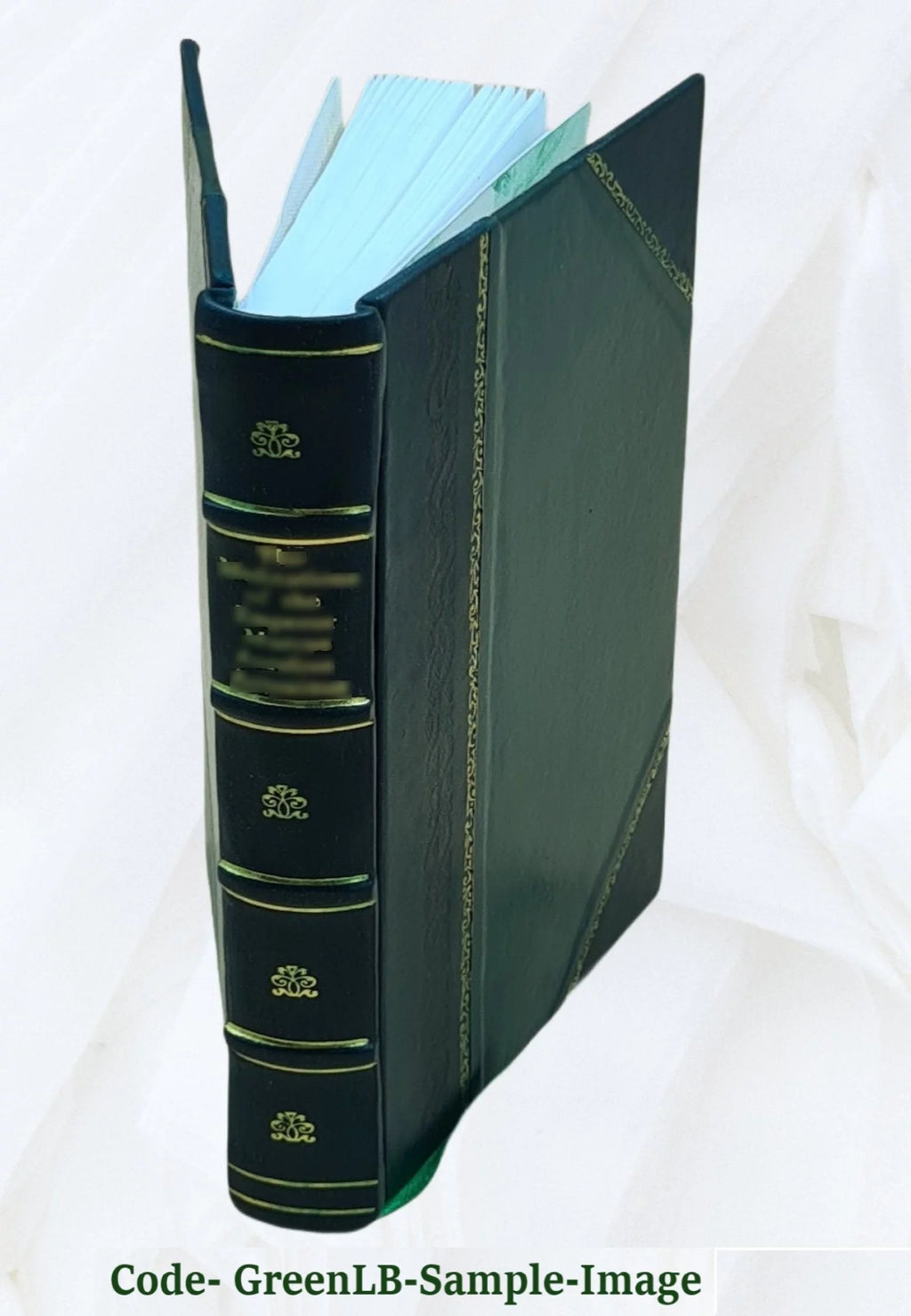 1845 Leather Bound R5411