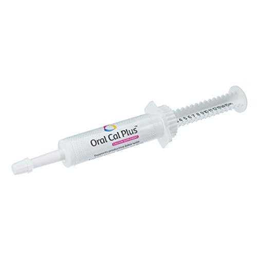 Oral Calcium Supplement R442947
