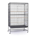 Extra Large Wrought Iron Flight Cage X685
