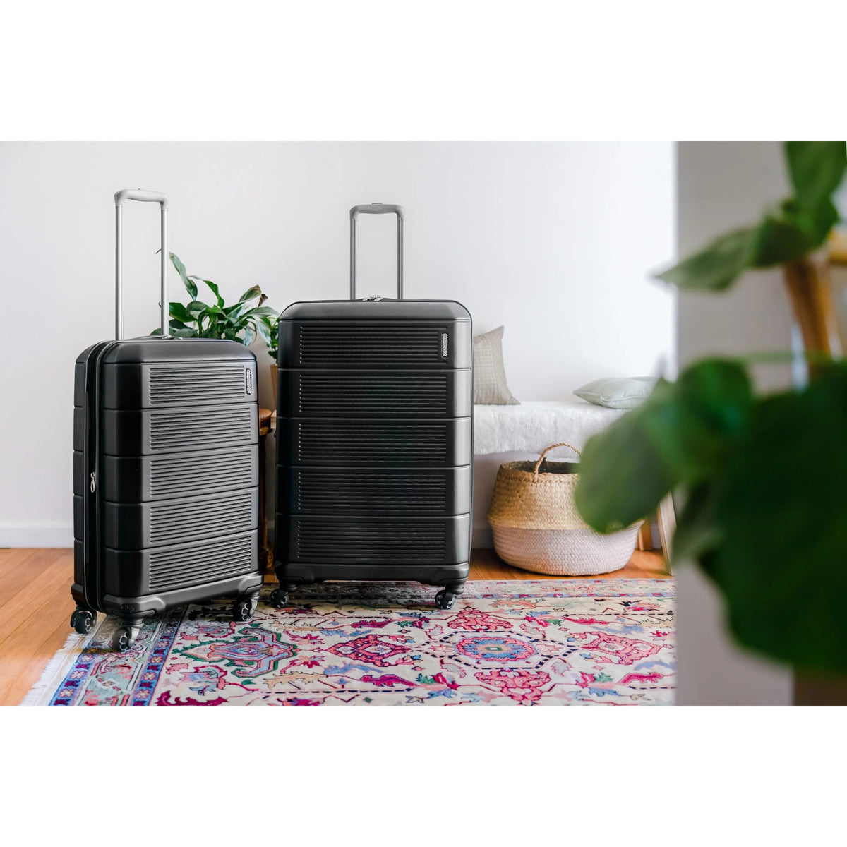 Hardside Medium Checked Spinner Luggage Jet Black V966